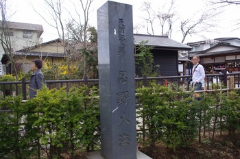 15 (800x531)