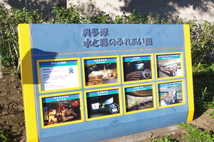 IMGP0960
