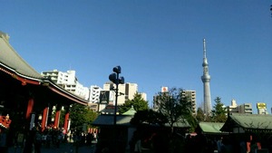 IMAG0311