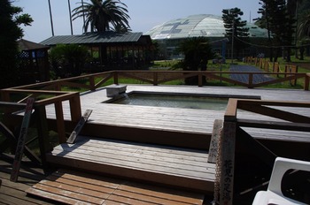 20140531 (112) (800x531)
