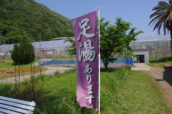 20140531 (107) (800x531)