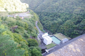 IMGP0981