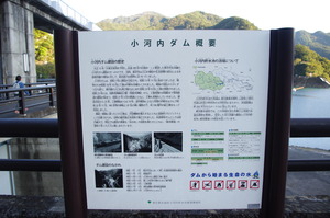 IMGP0978