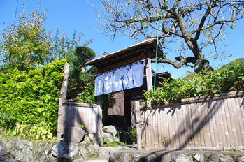 IMGP0946