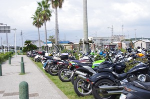 IMGP0925