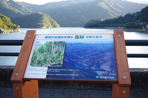 IMGP0974