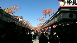 IMAG0299