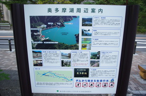 IMGP0991