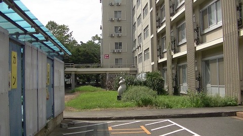 千葉大教育学部5号館1