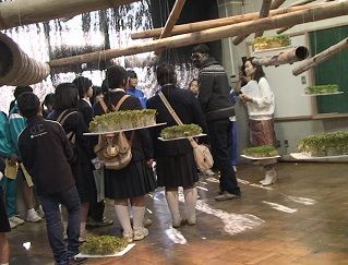 13ナンデシャ作品1
