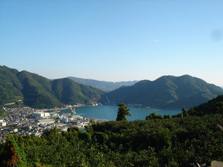 DSC00061