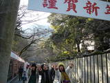 DSC00145