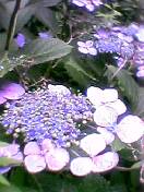 a5449a0c.jpg