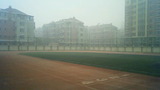 92308d04.jpg