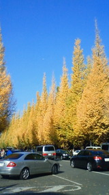 d4049d4e.jpg