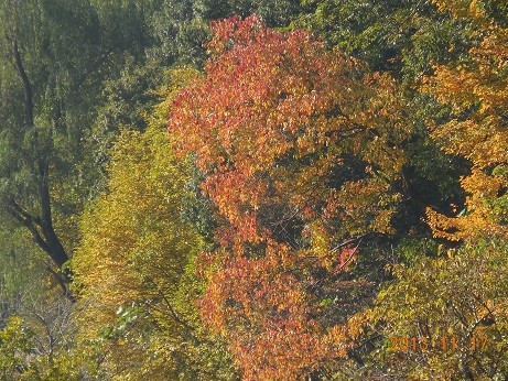 DSCN0076