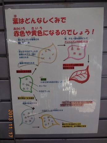 DSCN0073