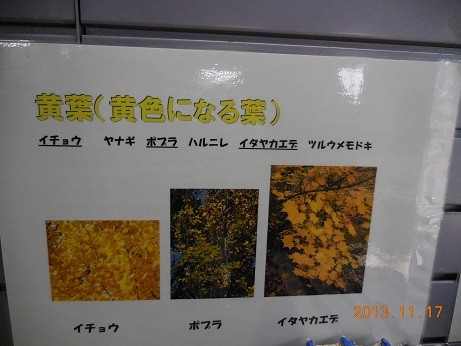 DSCN0069