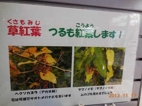 DSCN0071