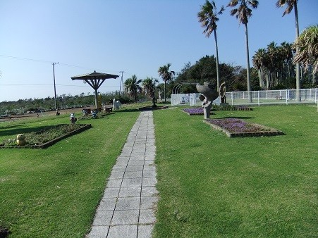 15DSCF5829