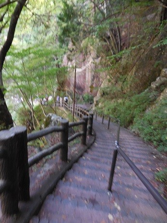 16-DSCN9279