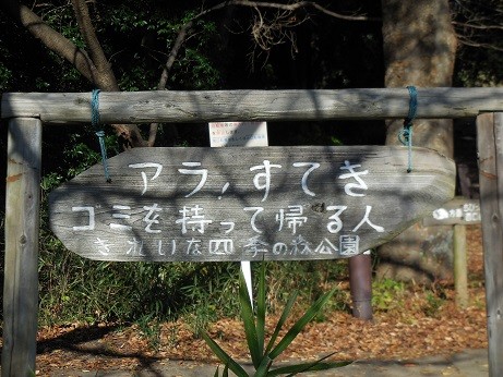 1-DSCN8181
