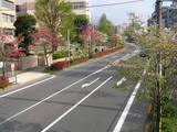prefectural road