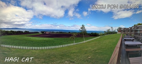 1600DSC_1430-PANO