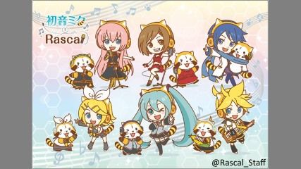 初音ミクさんがあらいぐまラスカルとコラボ