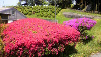 2011042911460001