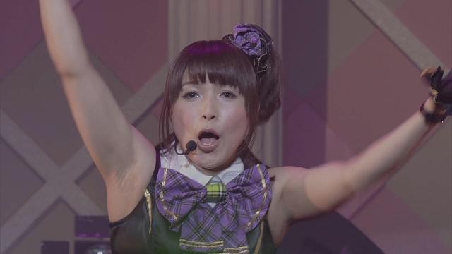 声優・新田恵海とかいう小宮有紗、Liyuuをラブライブに導いたμ’sのリーダー