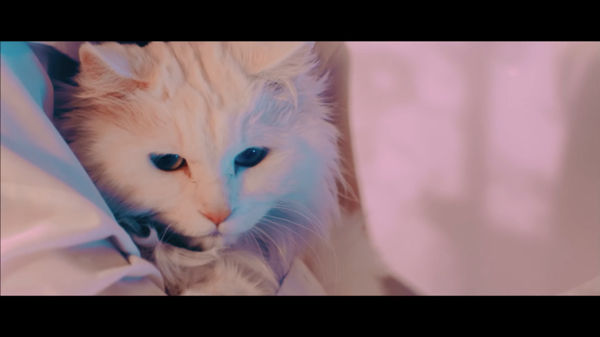 ヒョナ