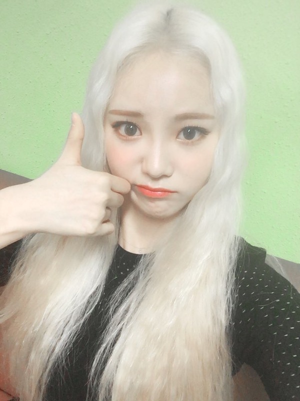ジンソル