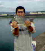 ¥¥Ó¥ì¥Á¥Ì¤ÈÆæ¤Î¥ª¥Ã¥µ¥ó