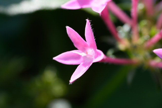 D75_0040_20150928_1481