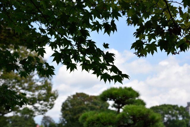 D75_0021_20150928_1462
