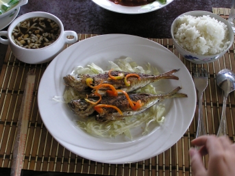 トメさんホテルランチ02