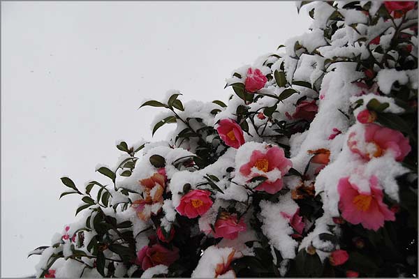 20120102_��_02