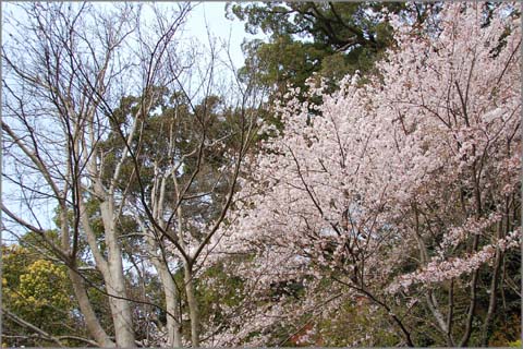 20100404_hnami_03