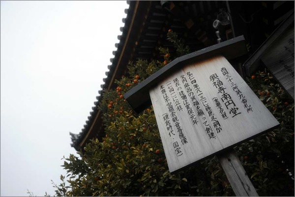20120205_���ɸ���_04