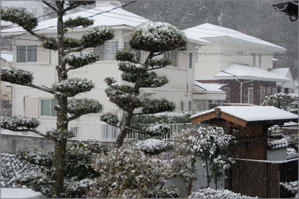 20120102_��_01