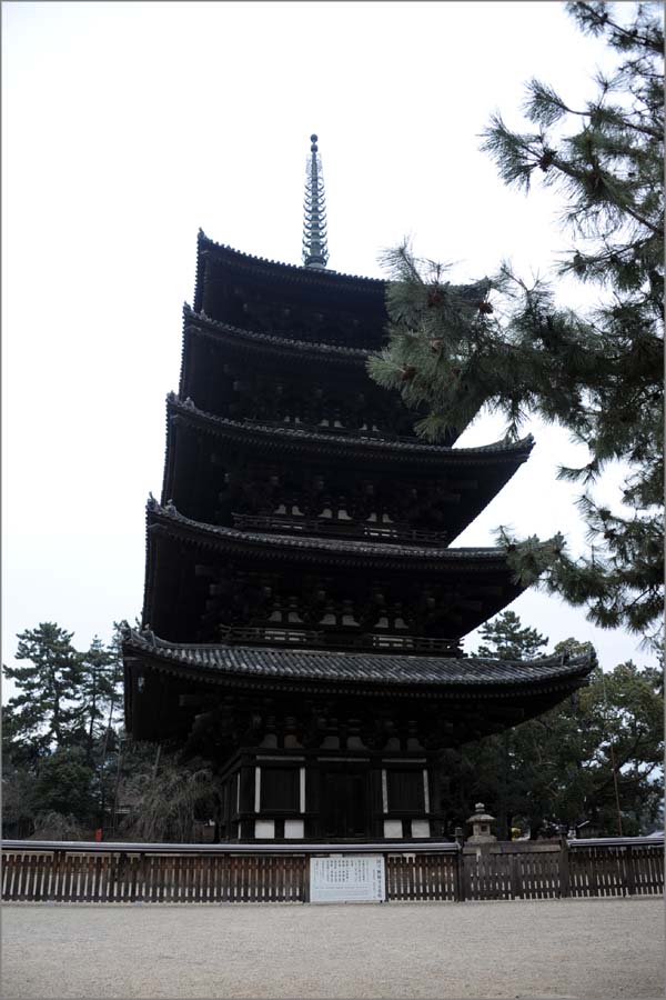 20120205_���ɸ���_01