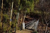 iwadonosan_02