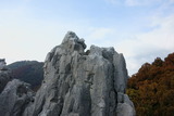 _DSC00920013