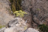komochi_20140326_006