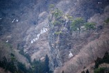 komochi_20140326_008