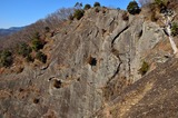 iwadonosan_09