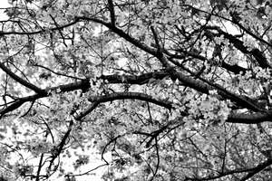 140408_003
