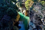 iwadonosan_29