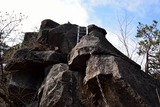 komochi_20140326_005